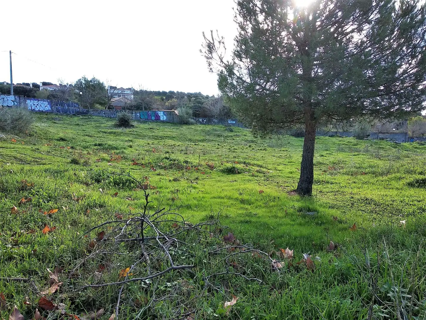 Terreni e lotti in vendita a Fresnedillas de la Oliva, imagen 2