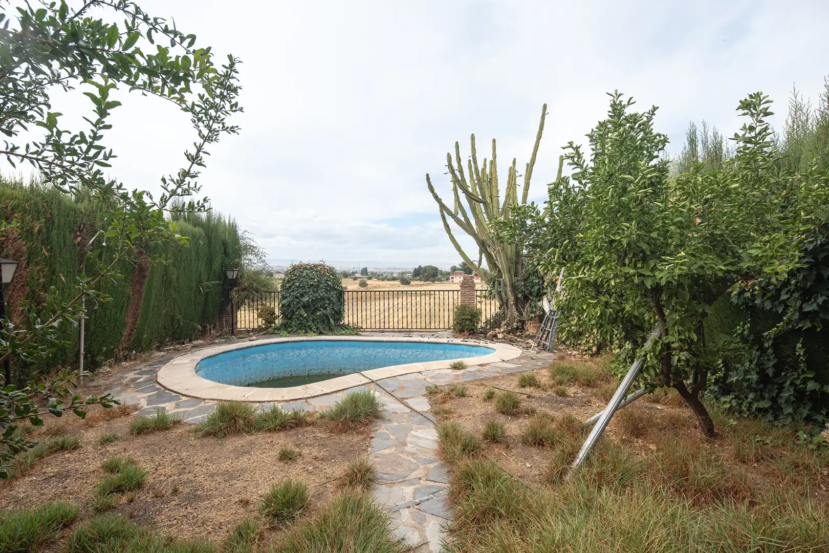 Swimming pool of Houses for sale in Genil