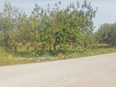 Terreno residencial en venta en Polígono 31 Paraje 33 COMES 239