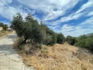 Land for sale in Monda