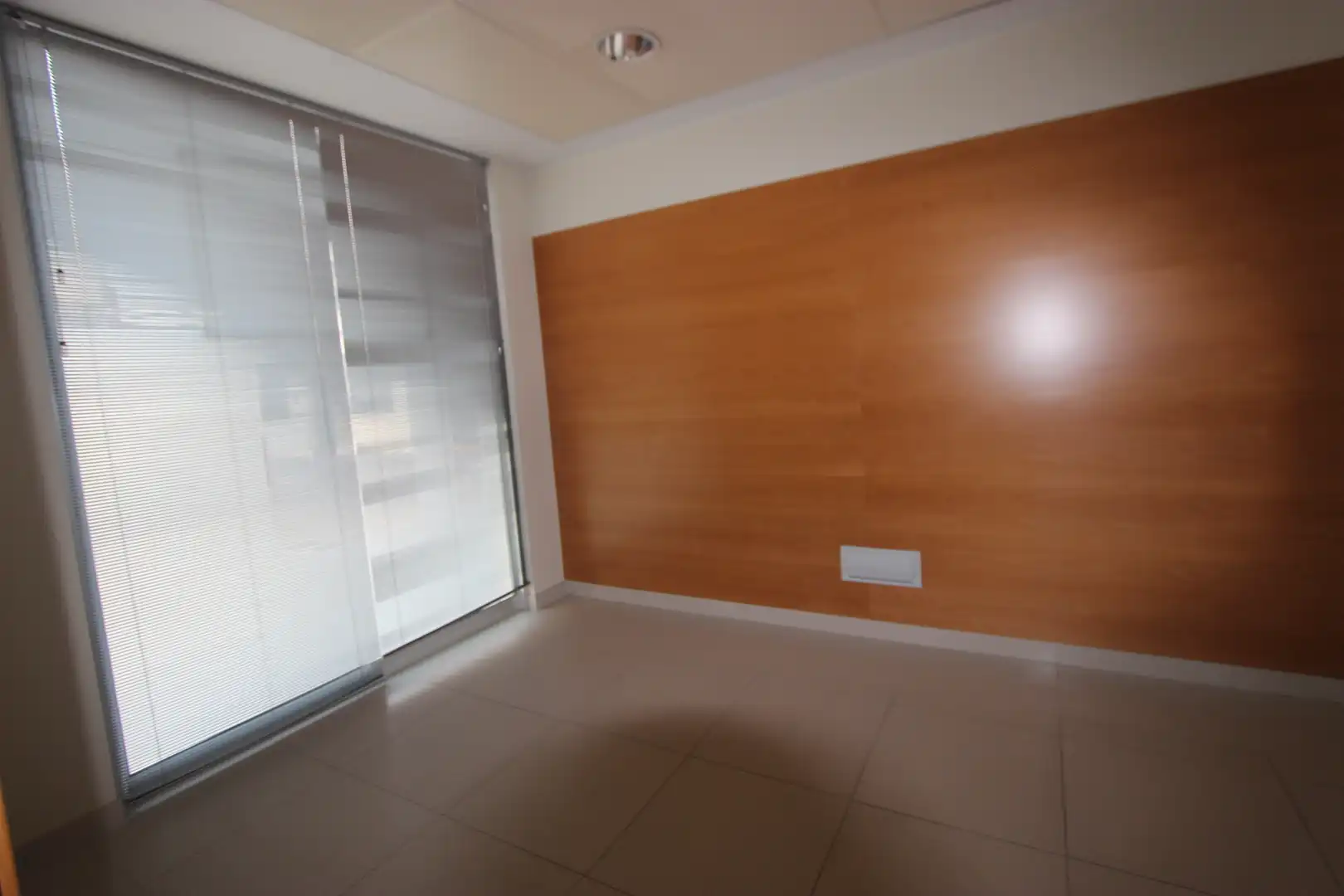 Gewerbefläche zum Verkauf in Avenida del Mediterráneo, imagen 5