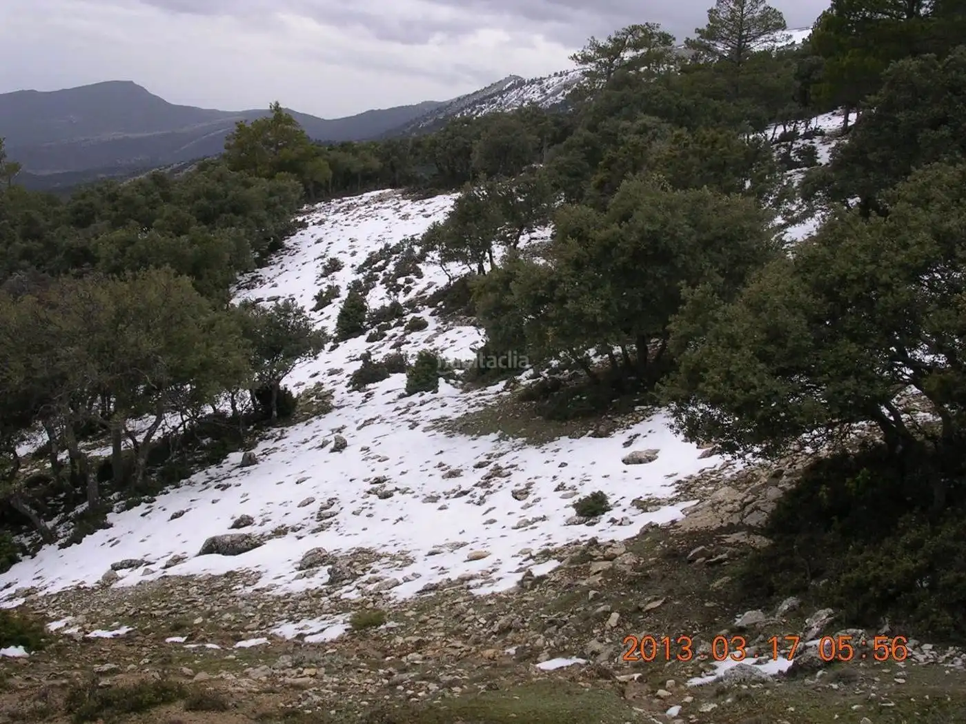 Terreni e lotti in vendita a Huéscar, imagen 14