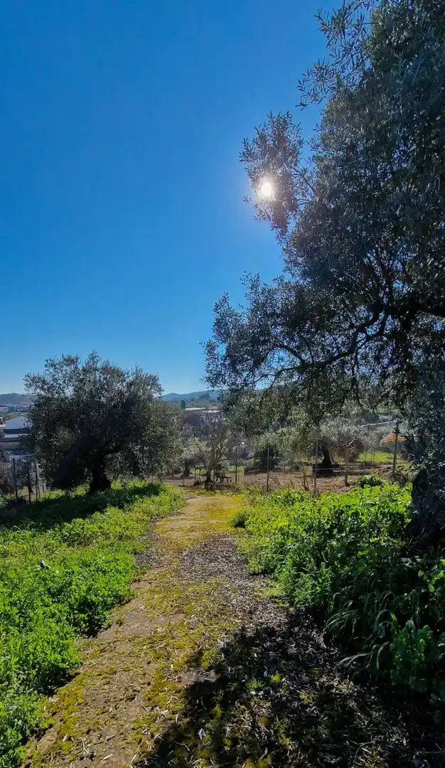 Finca rústica en venta en Salvatierra de los Barros con Jardín privado, Terraza y Trastero