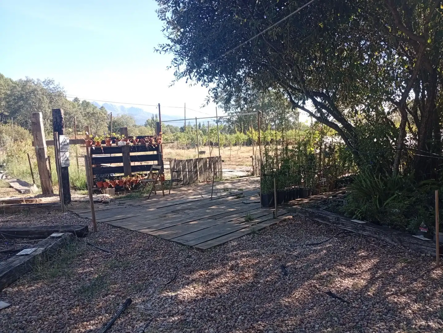 Terrain rustique à vendre à Villanueva de la Vera, imagen 18