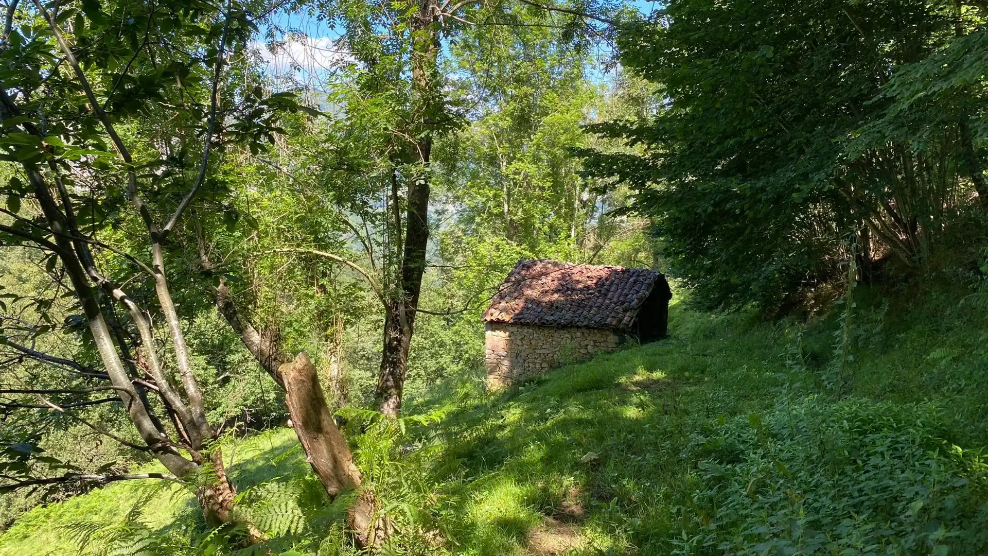 Terreno en venta en PRIESCA, Ponga