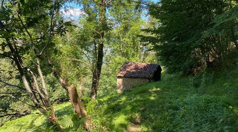 Photo 4 of Land for sale in Priesca, Ponga, Asturias