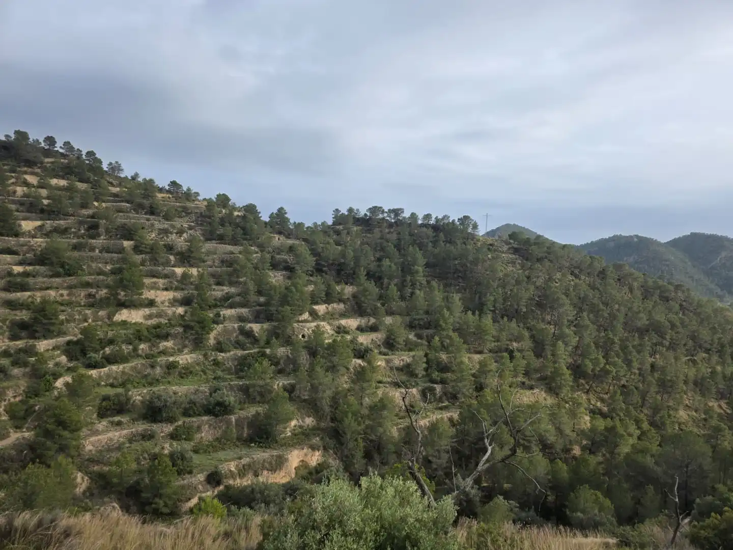 Terreno en venta en Sella