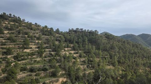 Foto 5 de Terreno en venta en Calle Jesús, Sella, Alicante