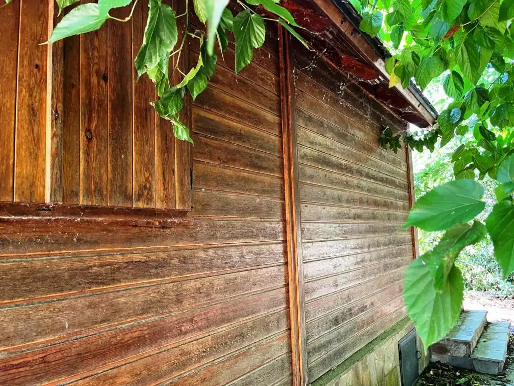 Exterior view of Houses for sale in Binéfar  with Private garden and Parquet flooring