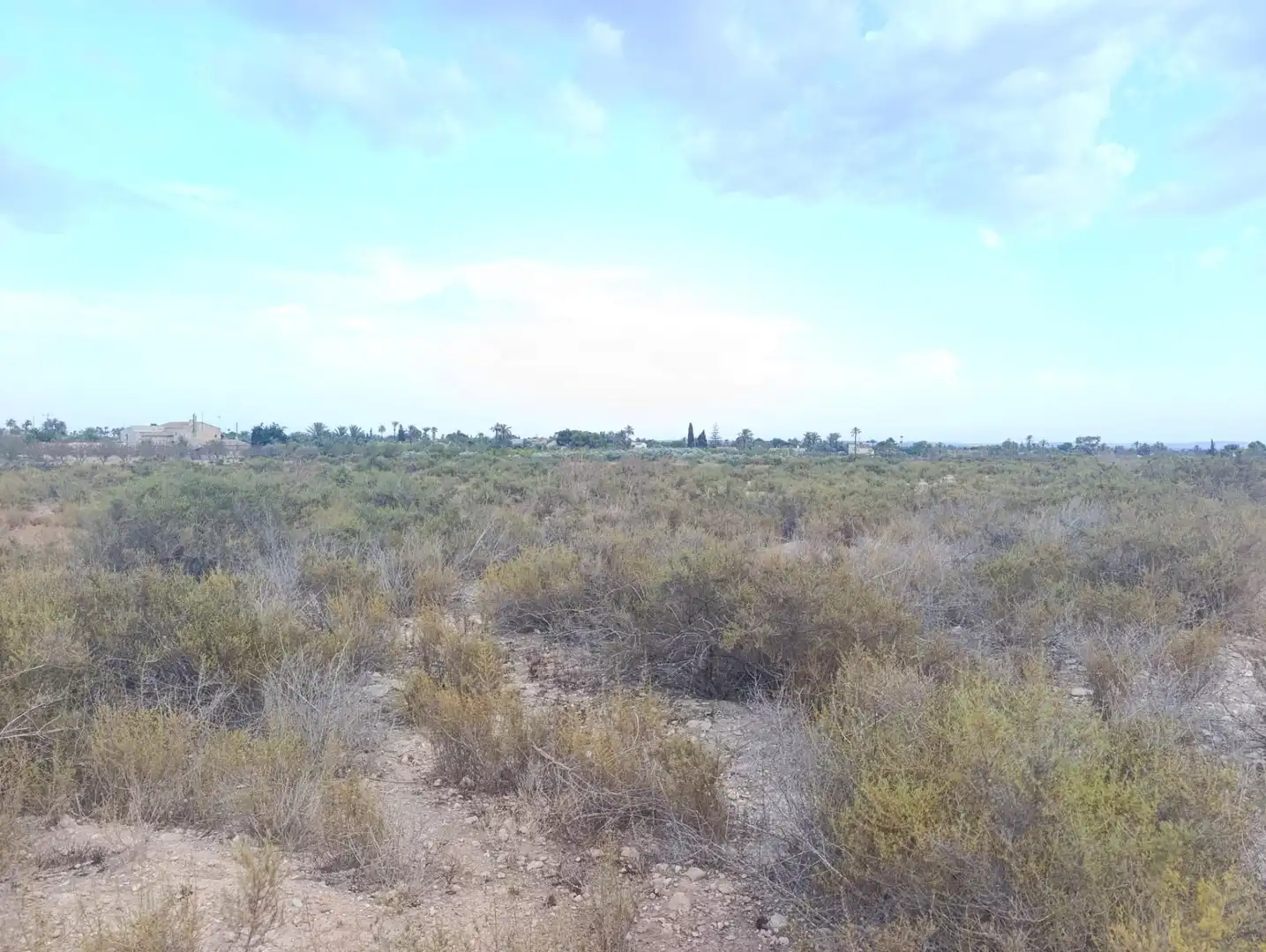 Terreny rústic de lloguer a Partida Matola, imagen 8