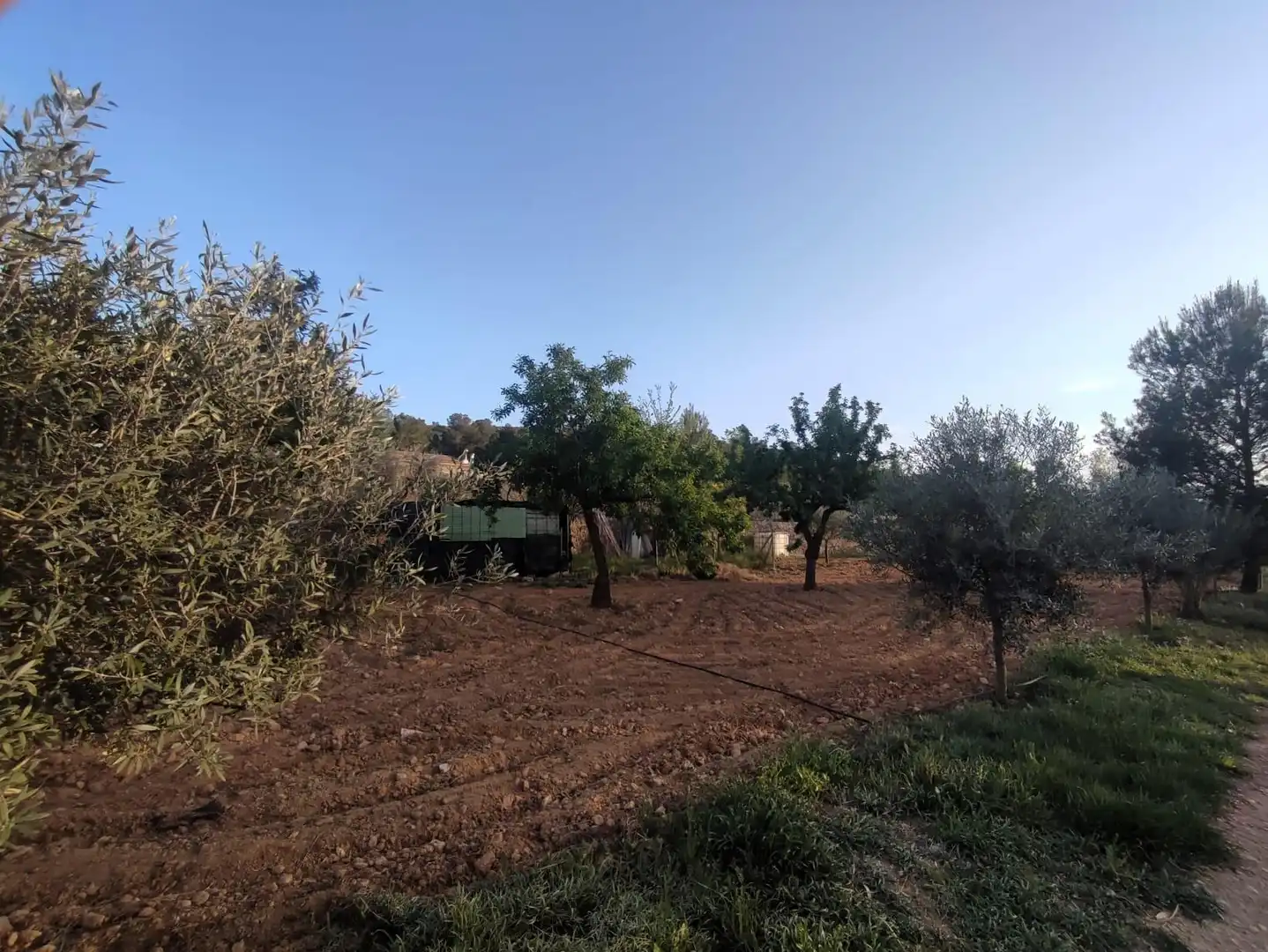 Villa con giardino in vendita a El Pinós / Pinoso, imagen 8