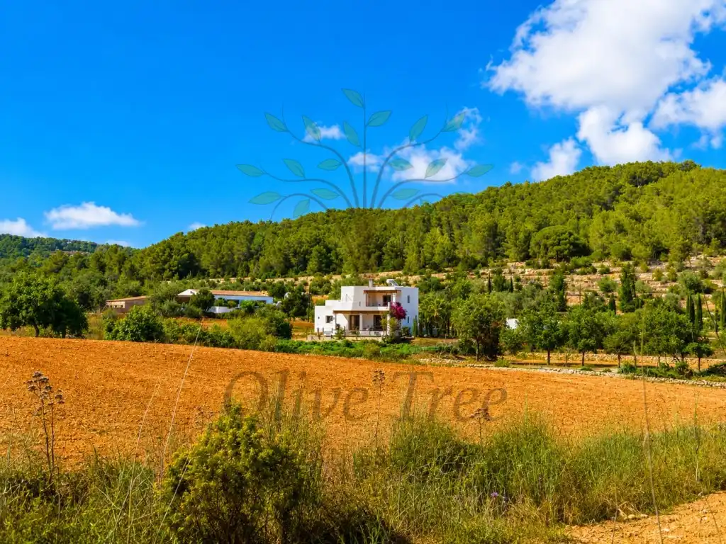 Exterior view of Houses for rent in Sant Joan de Labritja  with Swimming Pool