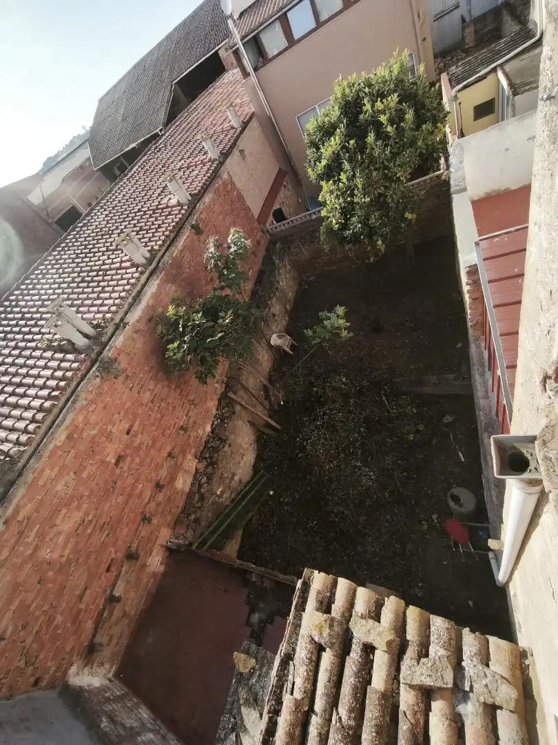 Jardín de Casa o chalet en venta en Sarral con Jardín privado
