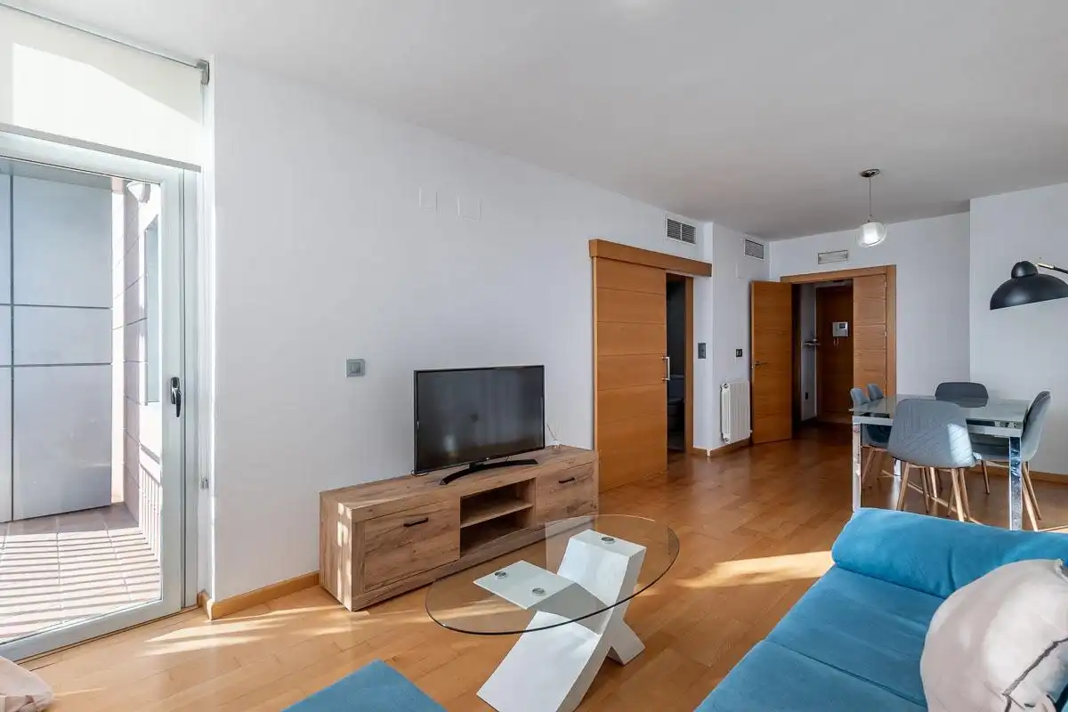 Sala d'estar de Pis de lloguer en Armilla amb Aire condicionat, Calefacció i Jardí privat