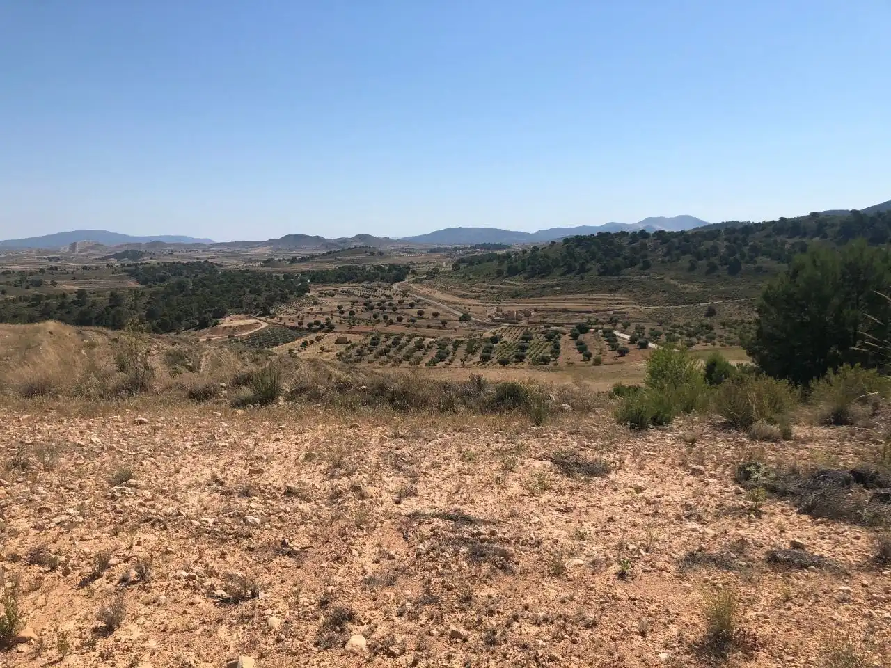 Rustikales Grundstück zum Verkauf in Jumilla, imagen 3