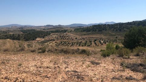 Parcela Urbanizable en La Zarza Jumilla 37.566 m, immagine 3