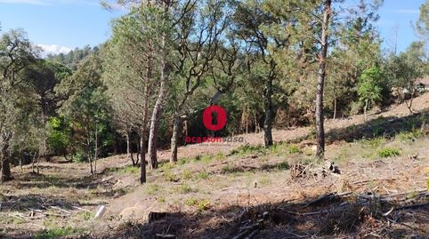 Foto 3 de Residencial en venda a Calle Castor, 49, Riudarenes, Girona