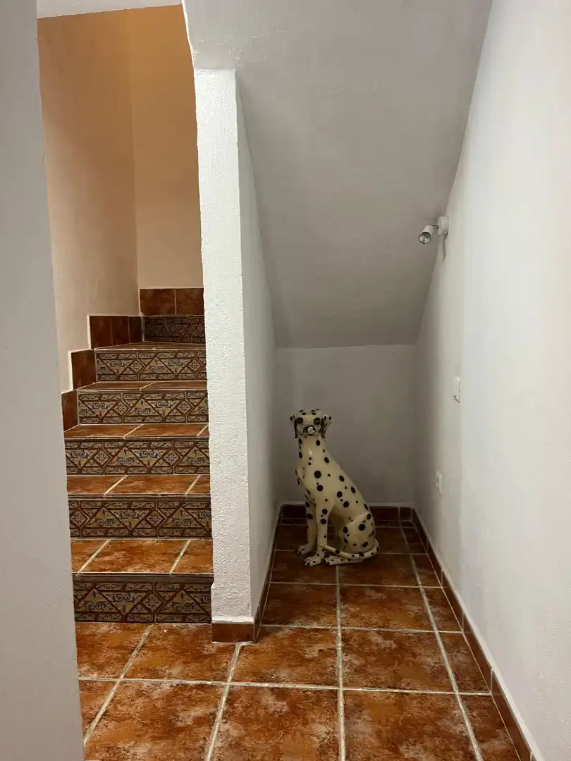 Finca rústica de alquiler en Comares con Amueblado