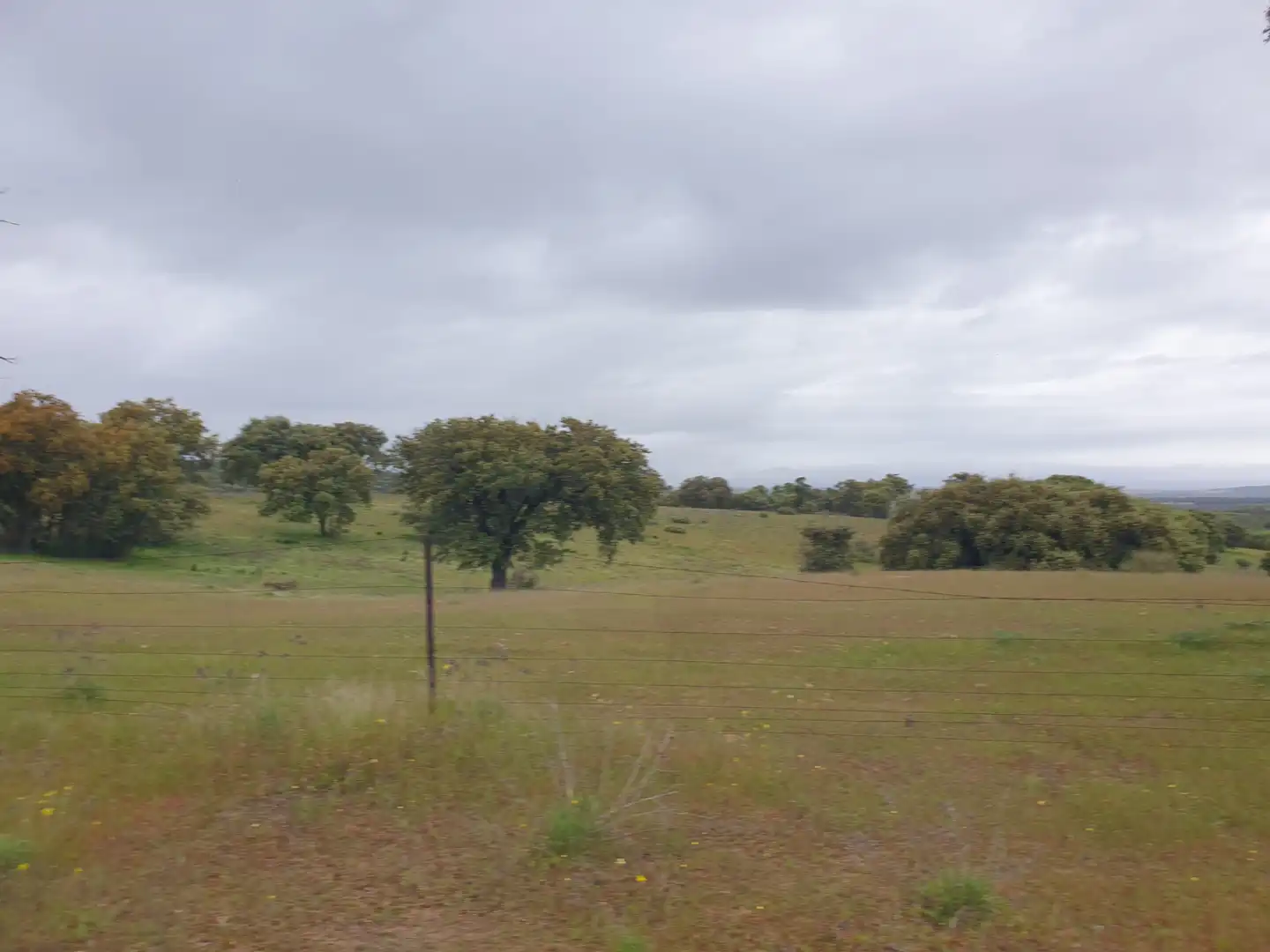 Terreni e lotti in vendita a Parque de la Constitución 5a, imagen 9
