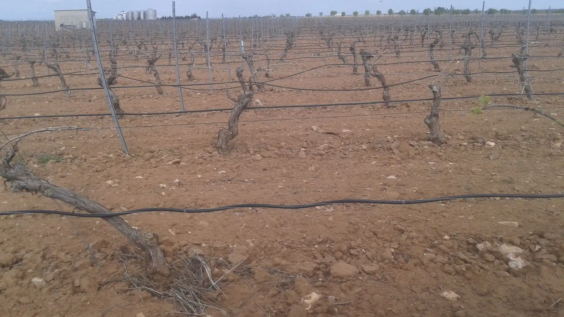 Terrenys i solars en venda a Las Mesas, imagen 13