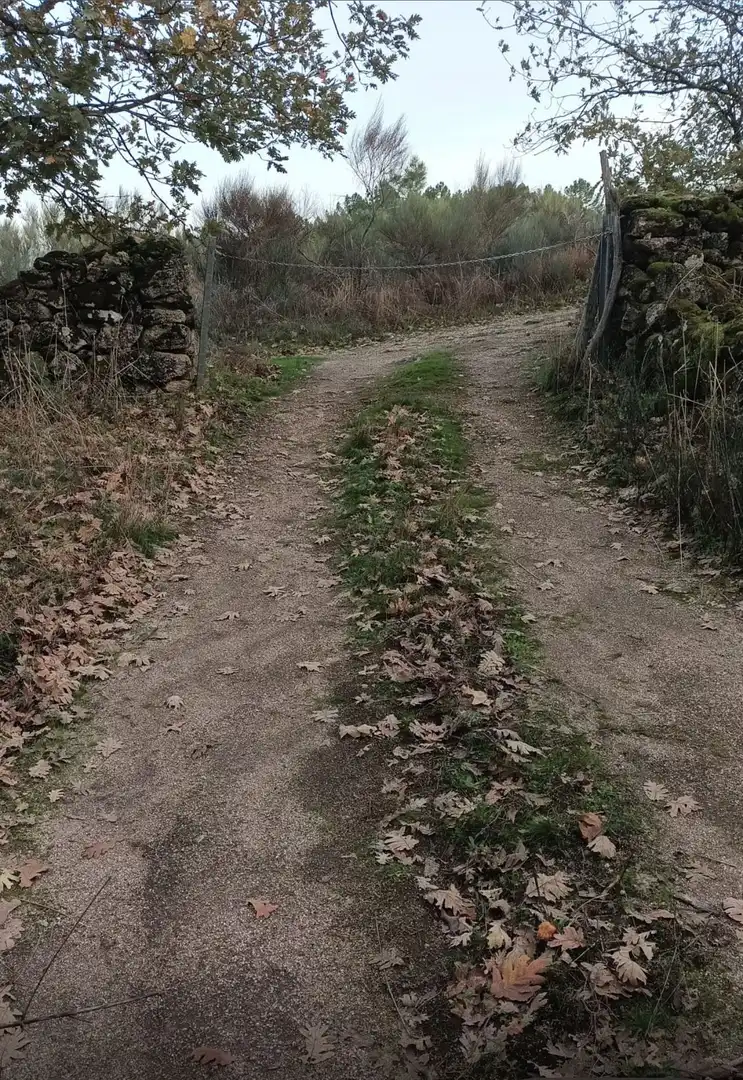 Terreni e lotti in vendita a Villanueva de la Vera, imagen 14