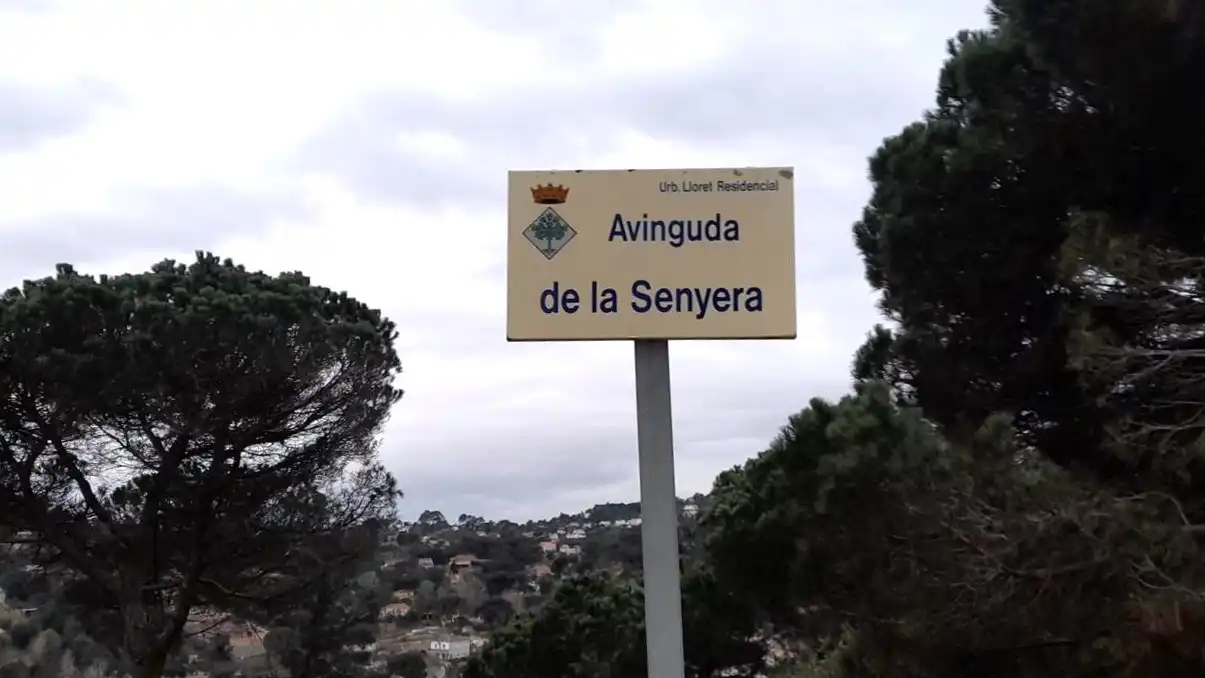 Wohnbaugrundstück zum Verkauf in Senyera, imagen 8