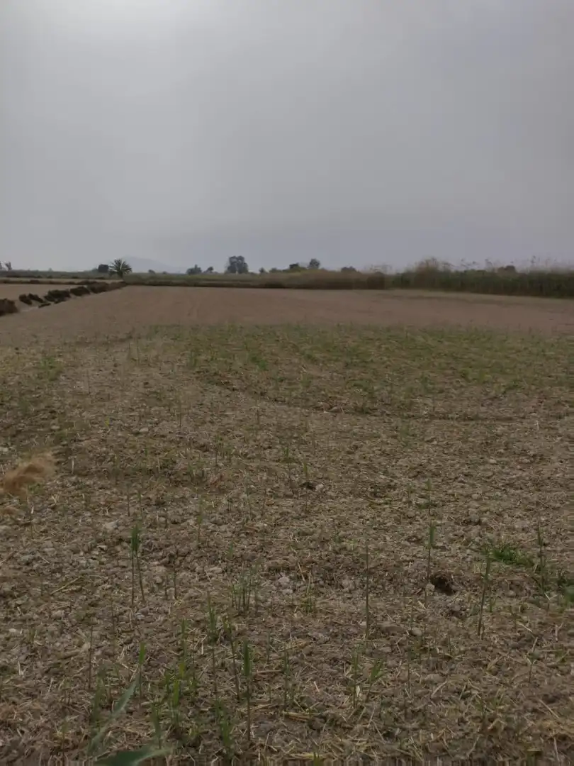 Terreno en venta en Elche / Elx