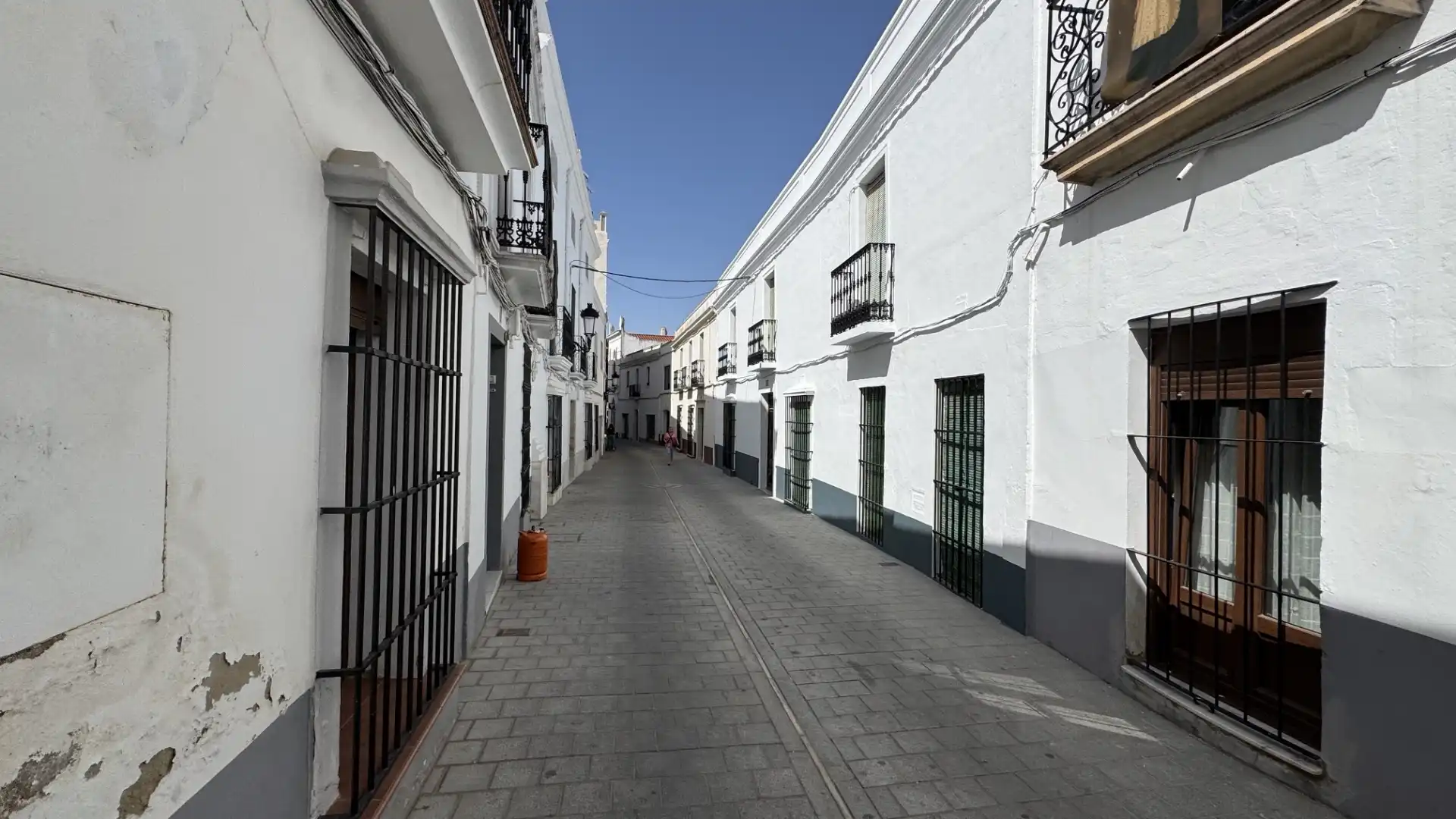 Vista exterior de Casa o chalet en venta en Olivenza