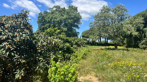 Foto 2 de Finca rústica en venda a Vejer, Vejer de la Frontera