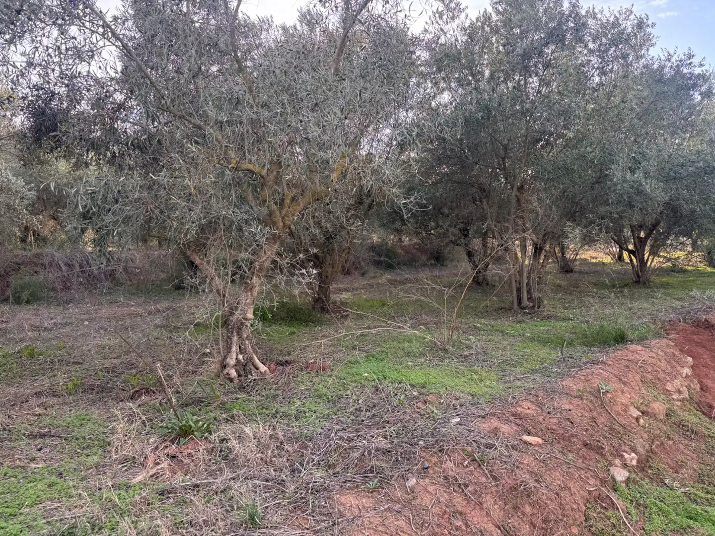 Casa o chalet en venta en Cehegín con Jardín privado, Trastero y Balcón