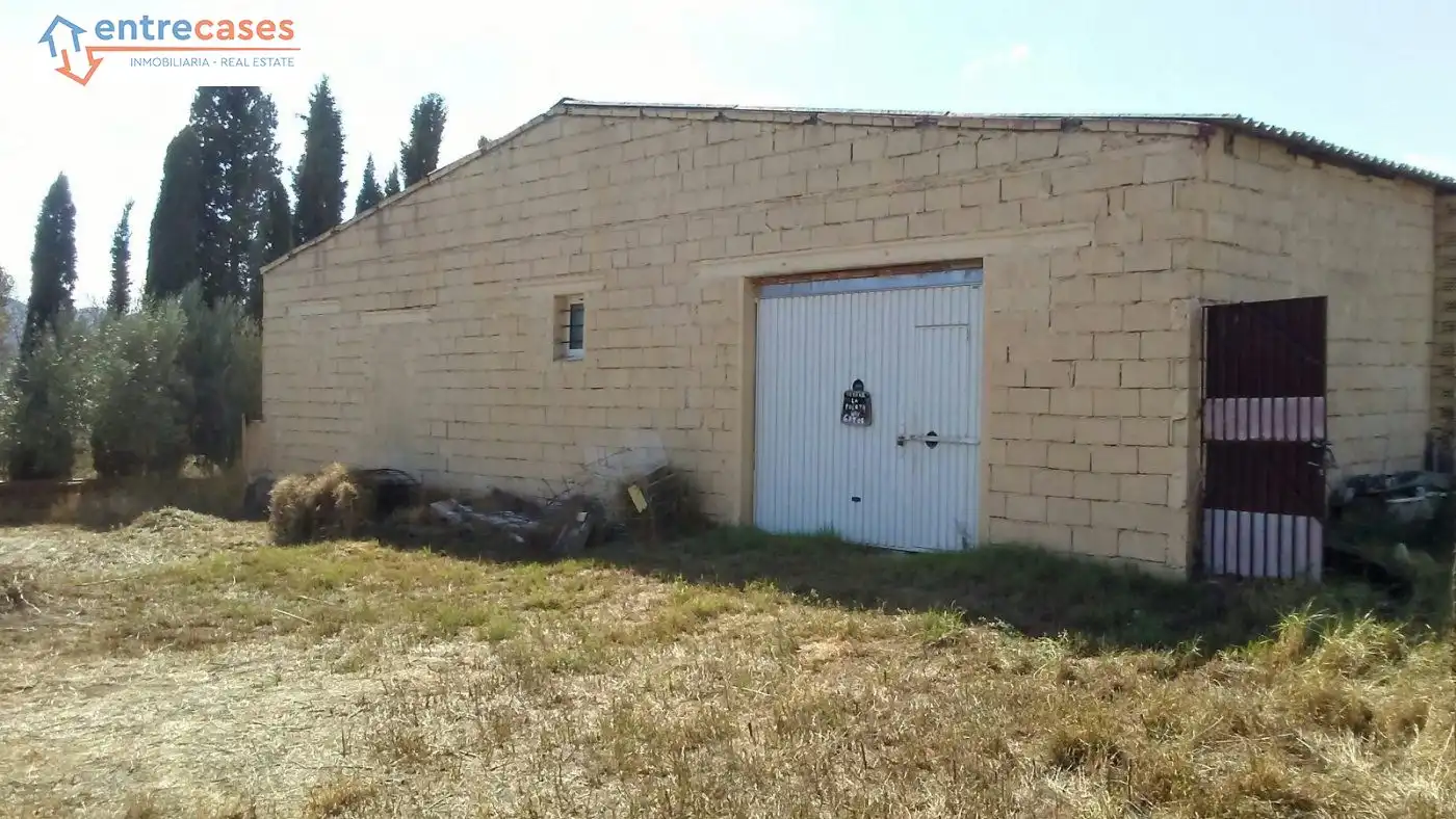 Rural land for sale in Albalat dels Tarongers, imagen 17