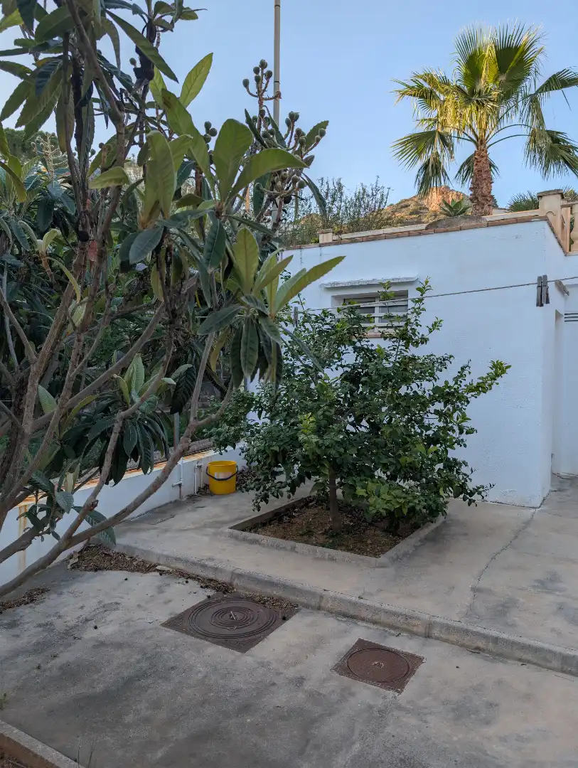 Vista exterior de Casa o chalet en venta en Castellón de la Plana / Castelló de la Plana con Calefacción, Jardín privado y Terraza
