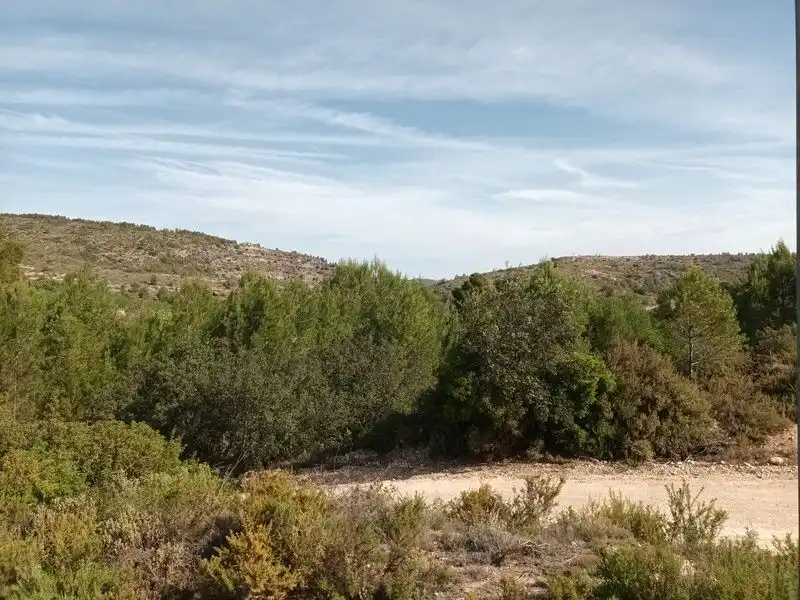 Land for sale in Ontinyent