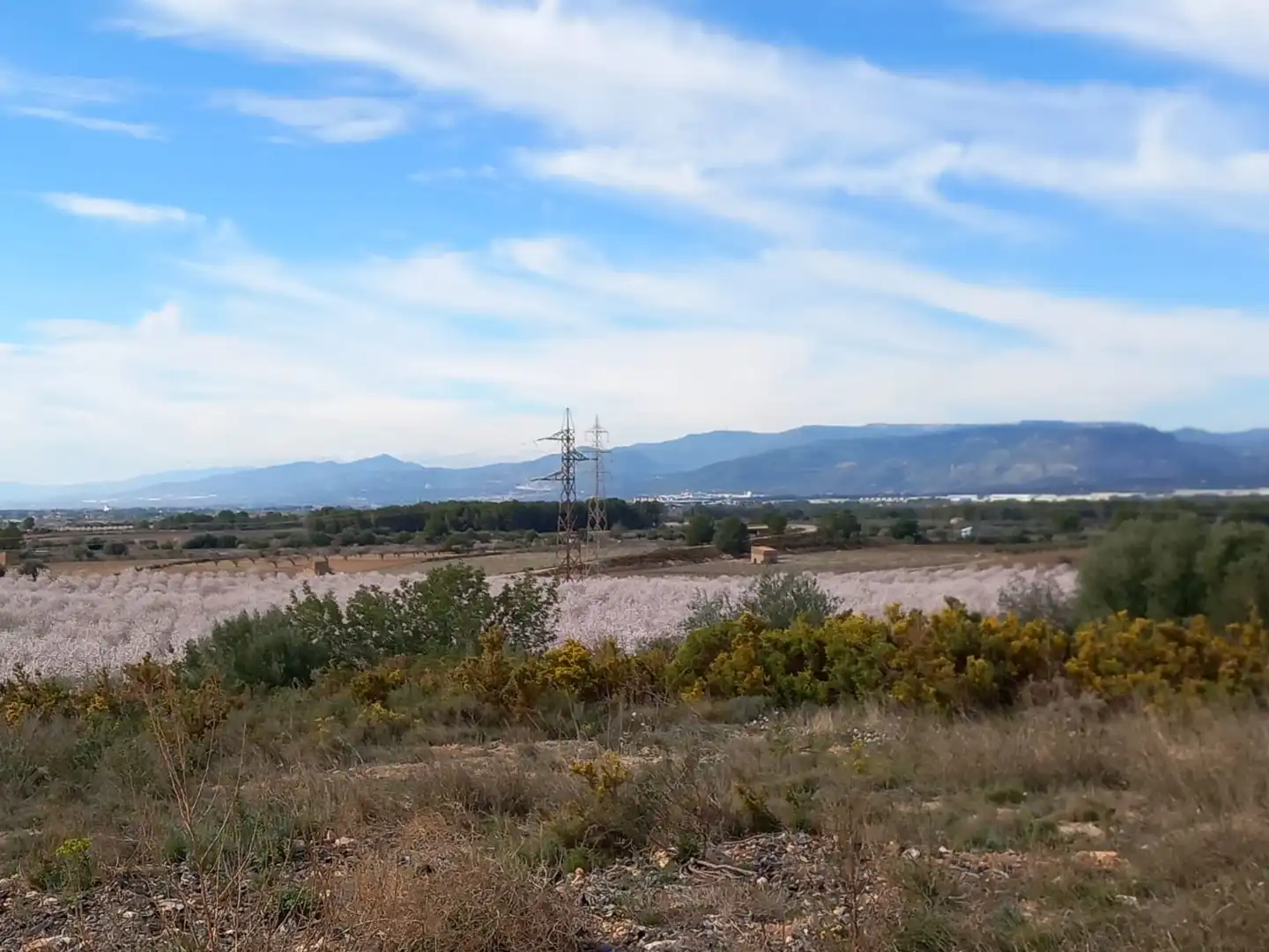 Terreno en venta en Vila-rodona