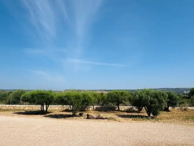 Country house with pool for sale in Manacor Centre, imagen 33