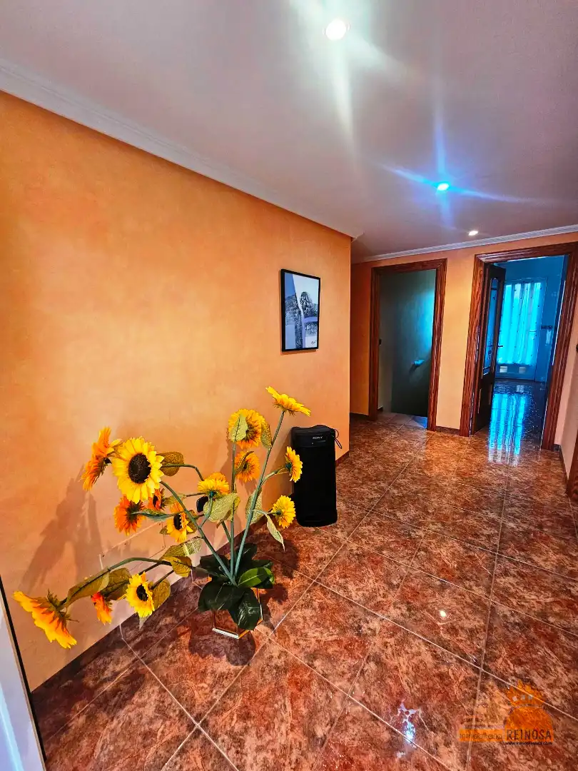 Casa o xalet en venda en Molina de Segura amb Aire condicionat, Jardí privat i Terrassa