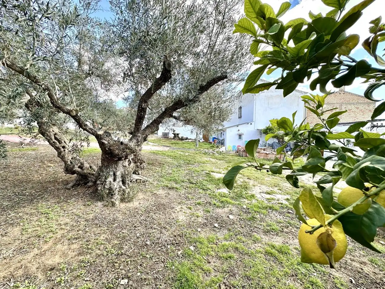 Casa amb jardí en venda a Villanueva de Algaidas, imagen 56