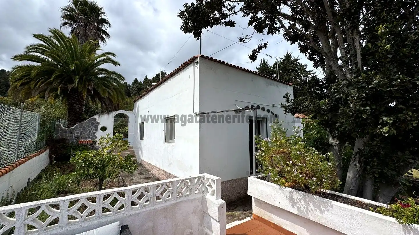 Vista exterior de Finca rústica en venta en Icod de los Vinos con Piscina
