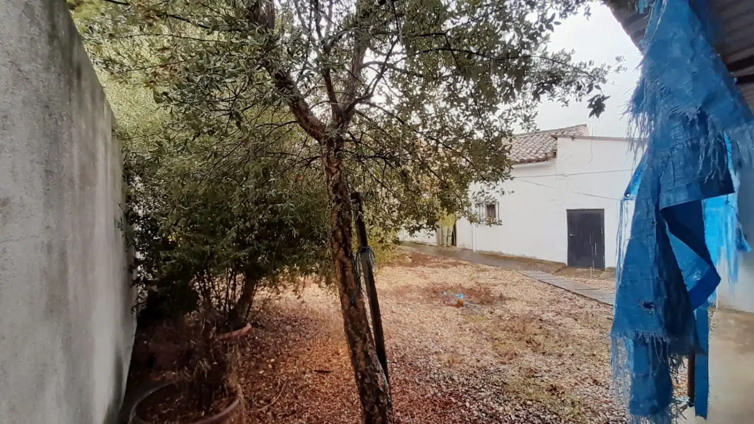 Garden of Houses for sale in La Sagrada   with Storage room