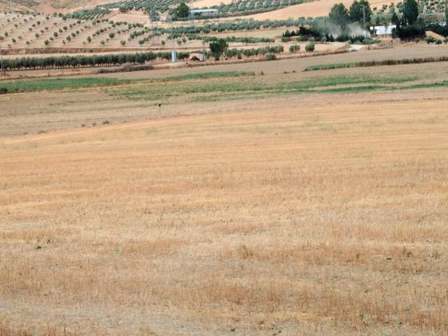 Terreno en Venta en La Malahá