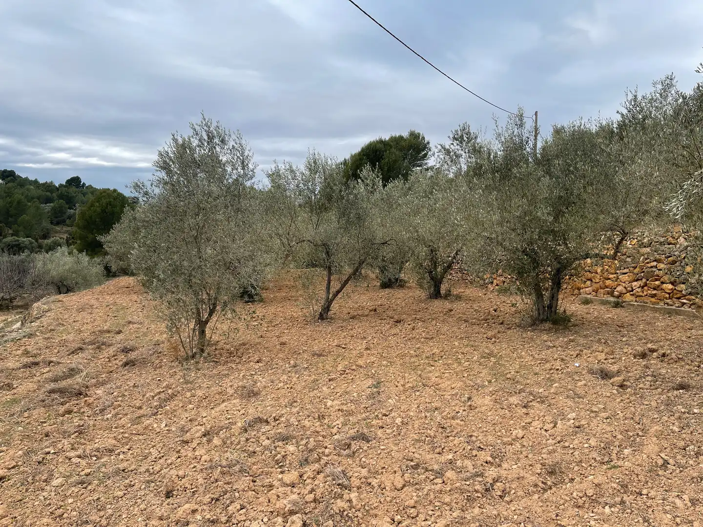 Rustikales Grundstück zum Verkauf in L'Alcora, imagen 12