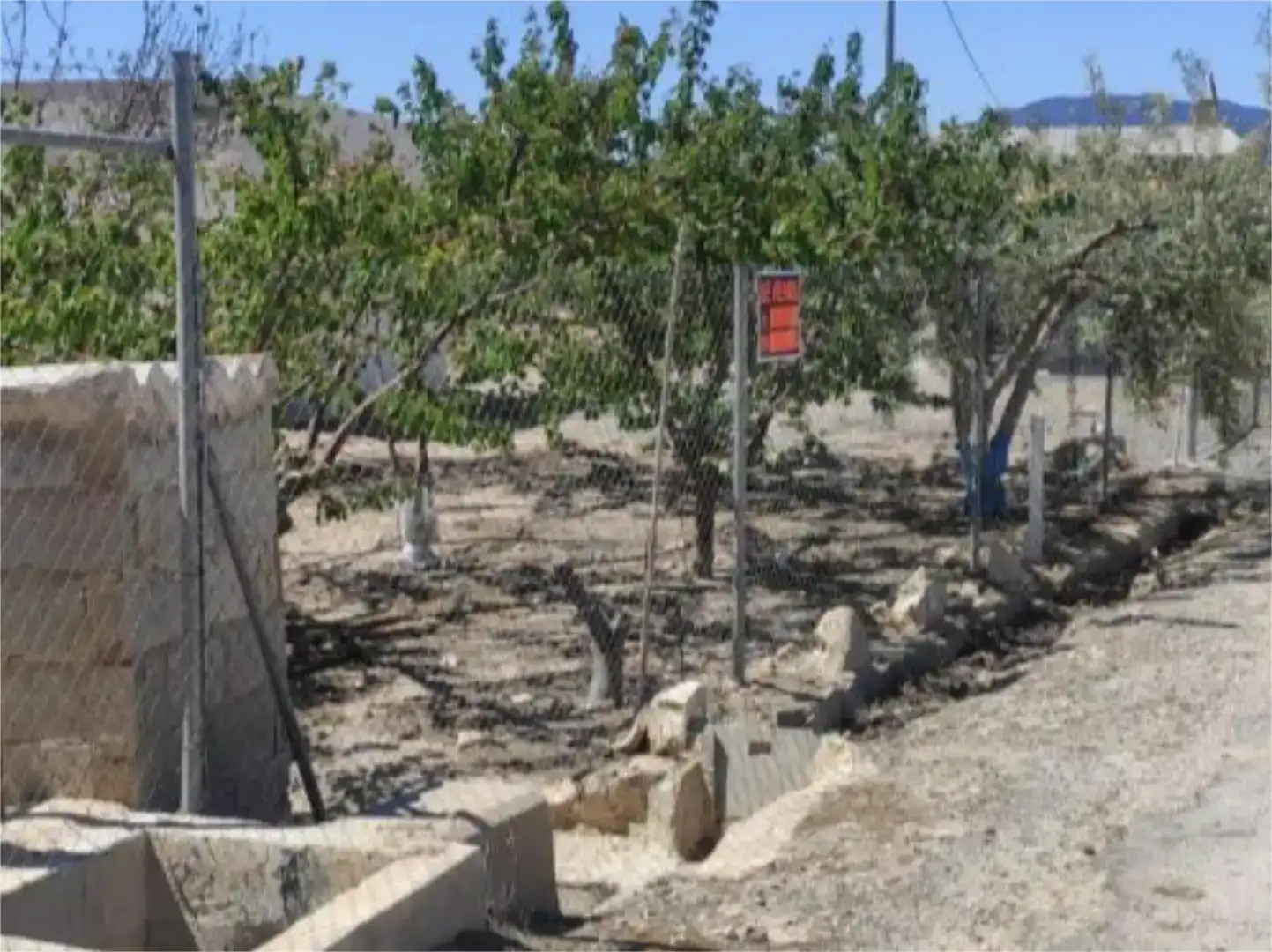 Finca rústica en venda en Blanca