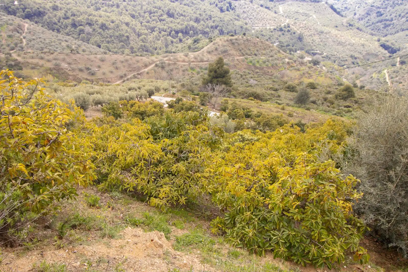 Casa o xalet en venda en Canillas de Albaida