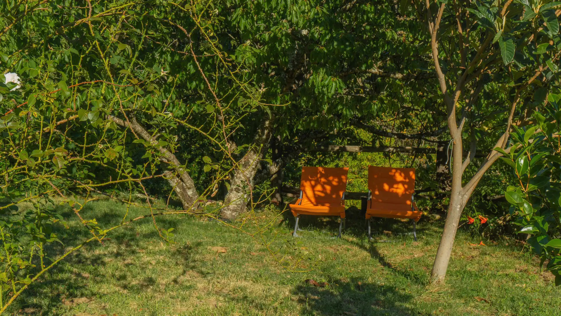 Jardí de Casa o xalet en venda en El Hornillo 