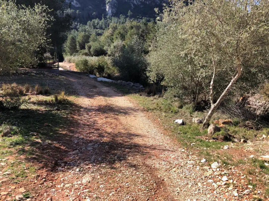 Terreny rústic en venda a Carrer de la Font, imagen 14