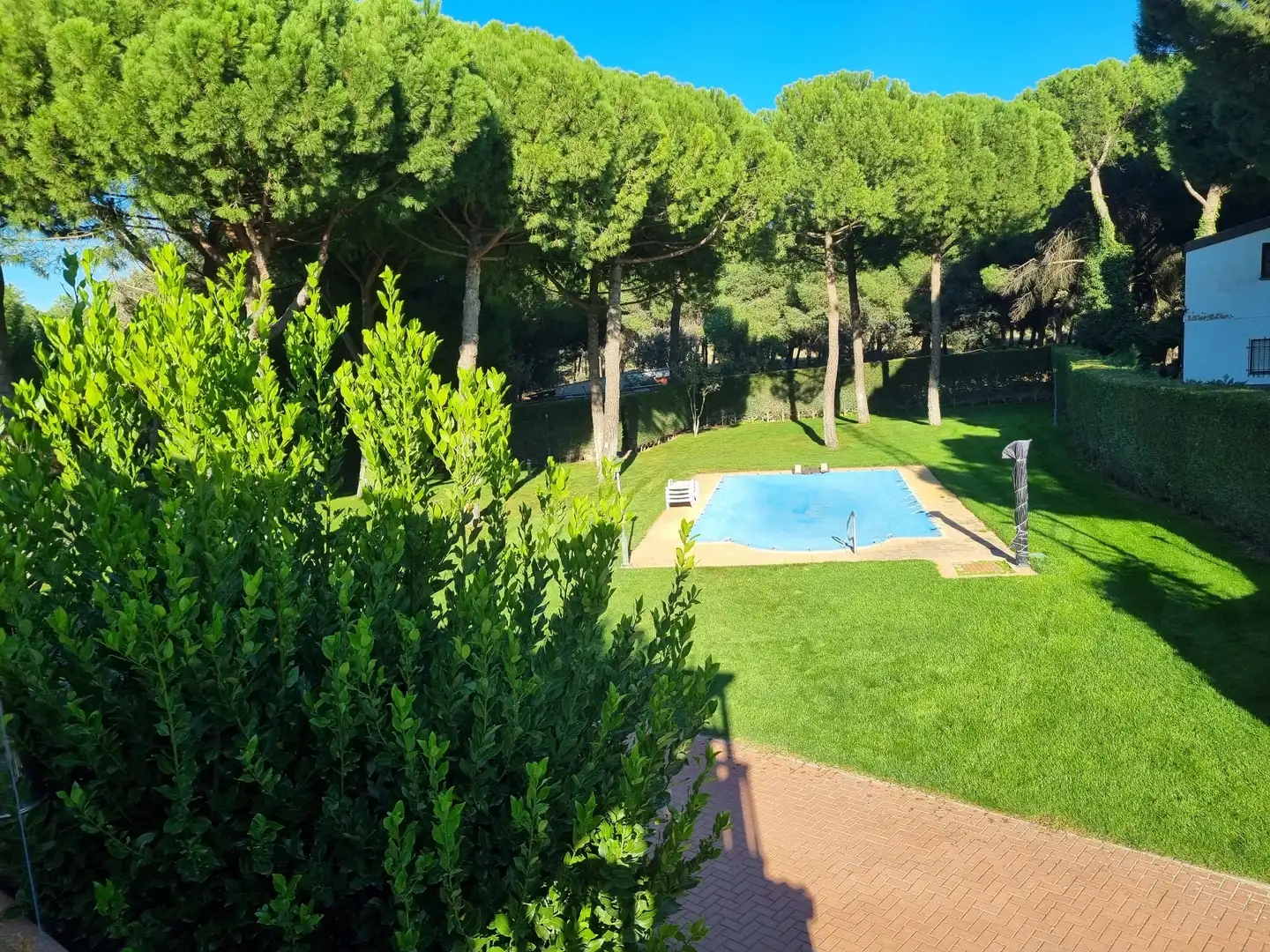 Garden of Houses for sale in Laguna de Duero  with Terrace, Storage room and Swimming Pool