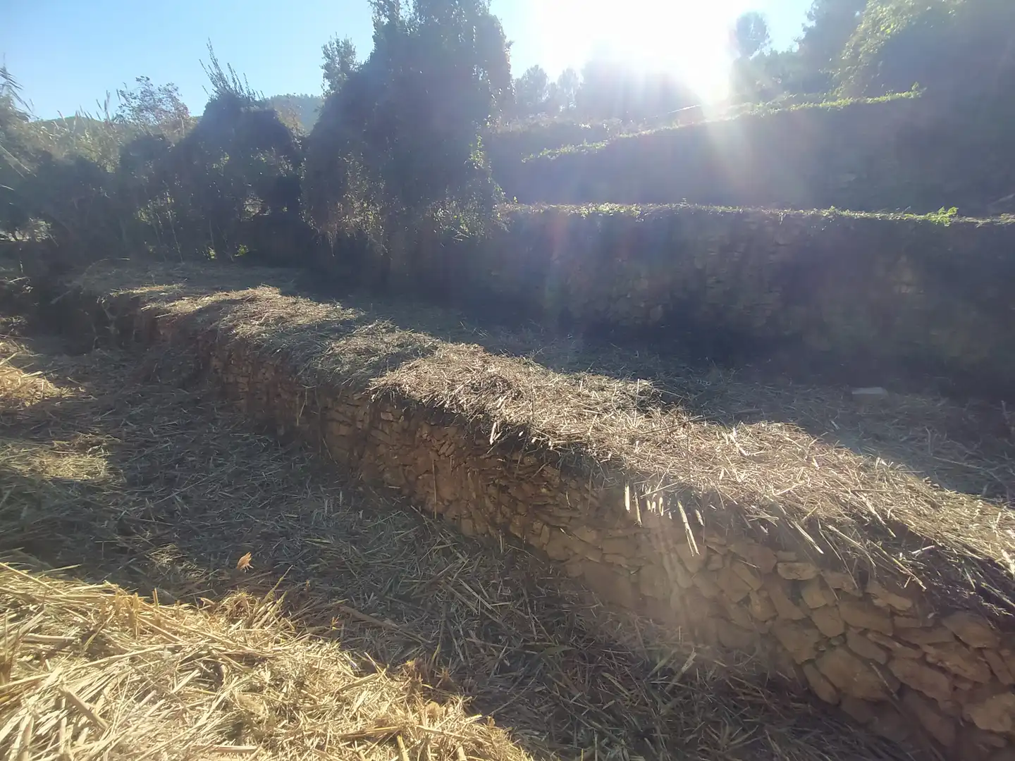 Wohnbaugrundstück zum Verkauf in Carretera Corbera a Gelida 83, imagen 11