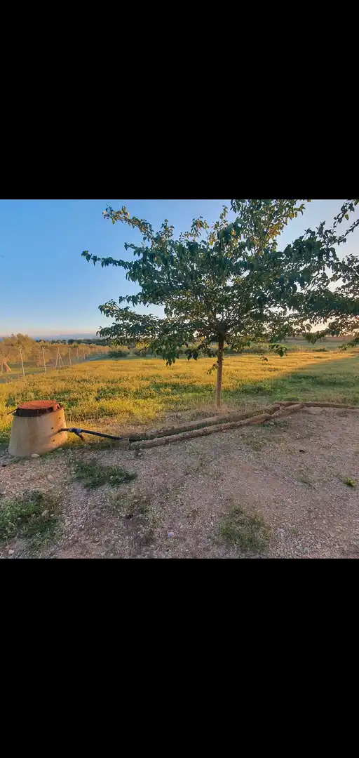 Casa en venta en Móra d'Ebre, imagen 14
