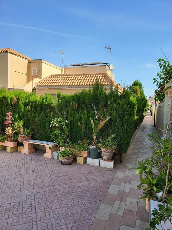 Jardín de Casa o chalet en venta en Torrevieja con Amueblado