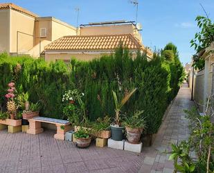 Jardí de Casa o xalet en venda en Torrevieja amb Moblat